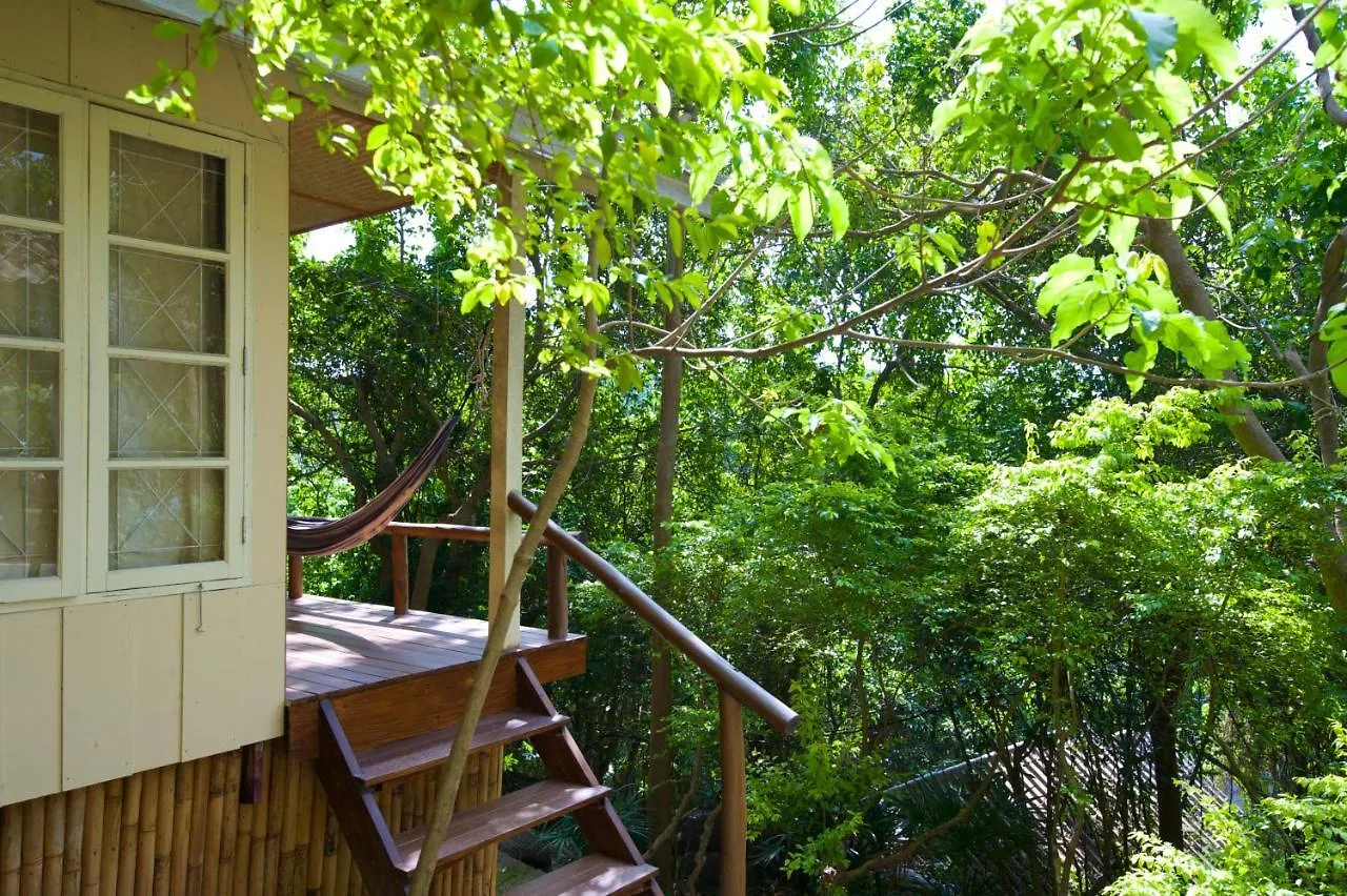 ** Ośrodek wypoczynkowy Bubble Bungalow Ko Tao Tajlandia